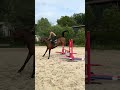 Jument de 5 ans d&rsquo;avenir 