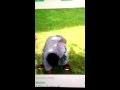Best Of Cousin Terio Dancing Malek S Vine Oooo Ooooo Killem Oooo