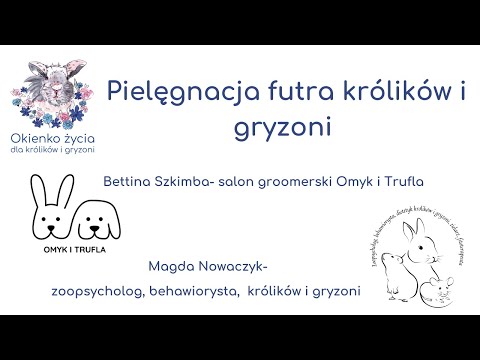 , title : 'Pielęgnacja futra królików i gryzoni'