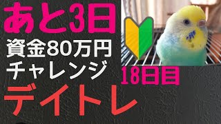 【デイトレ 80万円 チャレンジ ラスト3回】17日目 初心者 余計なことすると つかまる キオクシア /黒字姫 おしゃべりインコ 「美しい」メス