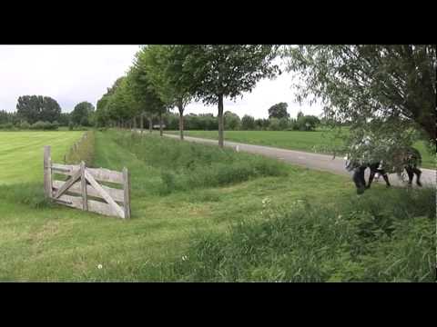 Groeten uit Gelderland 3 juli 2014