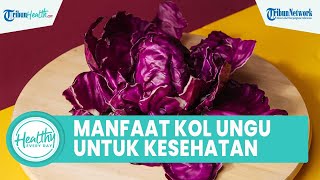 Luar Biasa! Inilah Manfaat Kol Ungu yang Tidak Banyak Diketahui: Memperkuat Tulang & Cegah Kanker