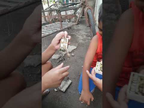 Spider Fight(damang)