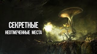 Skyrim Секретные и не отмеченные места