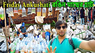 অঙ্কুরহাটির রঙিন মাছের হাট | Ankurhati Pet Market | Ankurhati Fish Market | Fish Market | Pet Market
