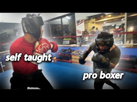 AUTODIDAKT gegen PROFIBOXER!! (TEIL ZWEI)