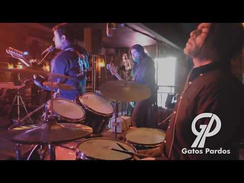 Lamento Boliviano | Cover | Live session | Gatos pardos