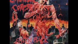 Buried In The Backyard - Cannibal Corpse