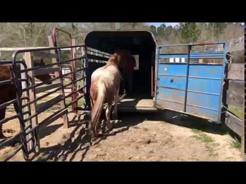 TAG 4137 das erste Verladen