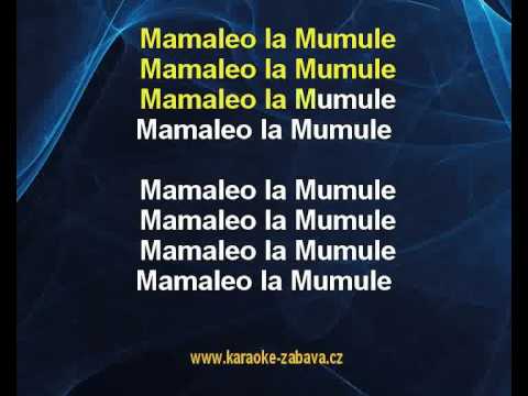 Petr Kotvald - Mumuland (karaoke z www.karaoke-zabava.cz)