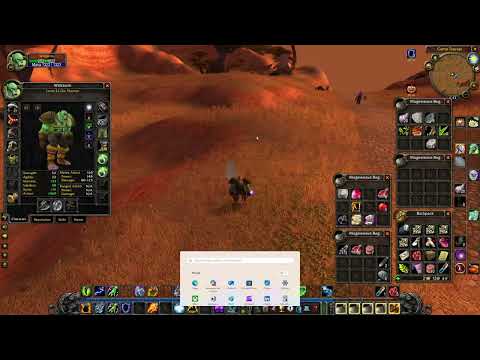 Classic/TBC Shaman Leveling Guide... You are Likely Leveling Shaman WRONG