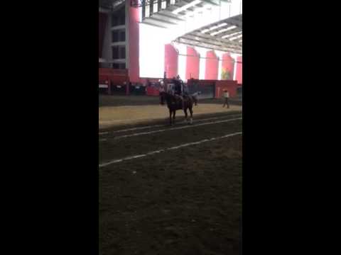 Cala estatal 2014 de Luis Hernández