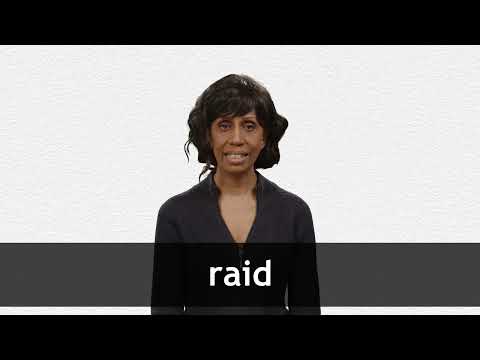 Definition of RAID