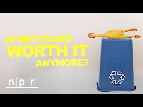 В сети появилось видео, которое разрушает главный миф о переработке
