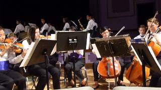 Without You - David Guetta Orchestra Arrangement