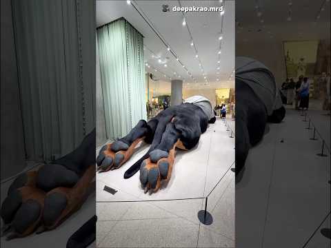 This Giant Dog Guards a Mall in Bangkok 😱
