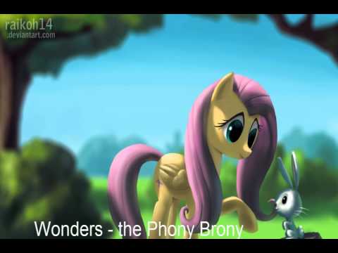 Wonders - the Phony Brony