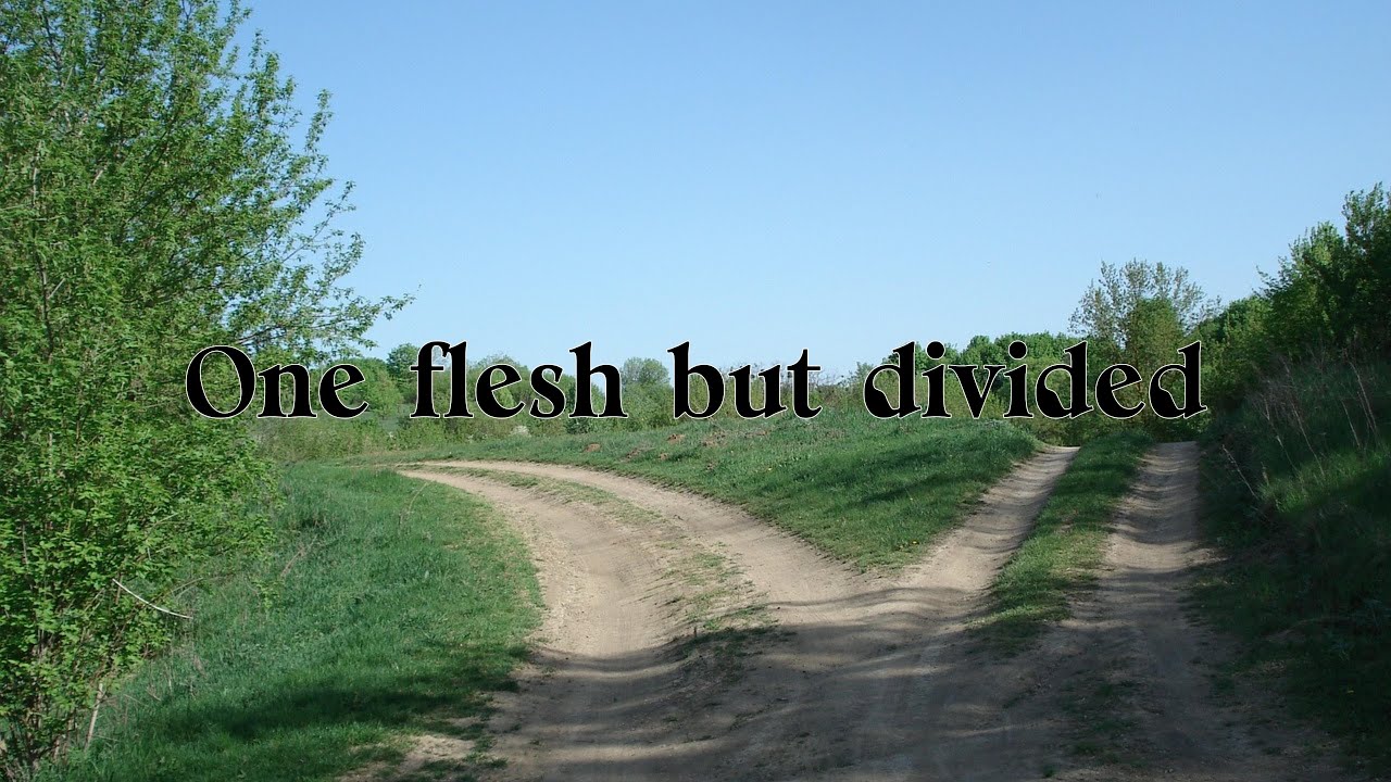 One flesh but divided (1)