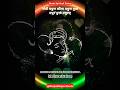 Gopi Madhura Lila Madhura Yuktam Madhuram Muktam Madhuram Viralvideo Krishna Status Shorts