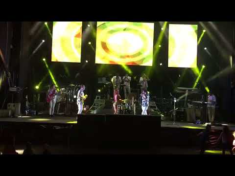 Orquesta Domino 2017