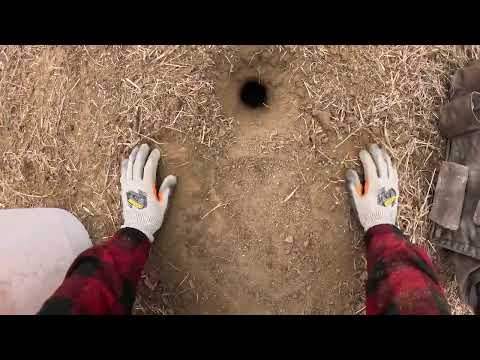 Overnight Catch On Coyote!