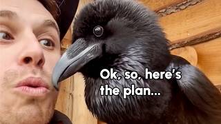 Over 12 Minutes of The FUNNIEST Talking Birds