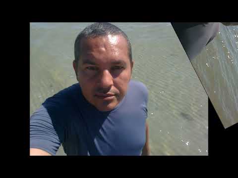 praia de salinas das margaridas