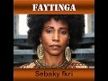 Faytinga - Sebaki fkri (Official Audio)