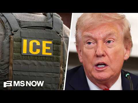 'Deeply disturbed': Reaction to ICE's plans to give officers electric shock gloves