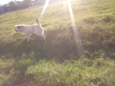 14-05-2016 CARTIER Mândrești MOLDOVA VRANCEA