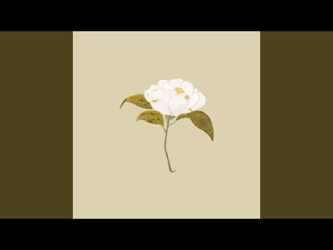 thumbnail for post 62