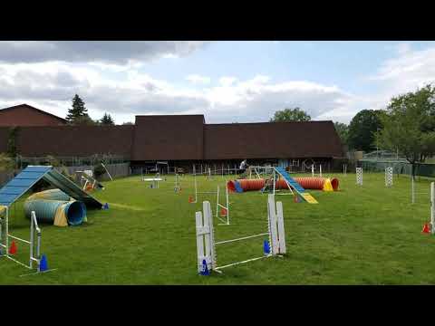 Blazin' Doggie - International Course Training (Anton Kudrin Perm Region Champ Final - June 2016)