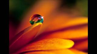 Pharoah Sanders -Colors