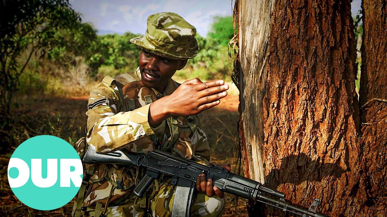 Bringing Down Major Wildlife Smuggling Kingpins