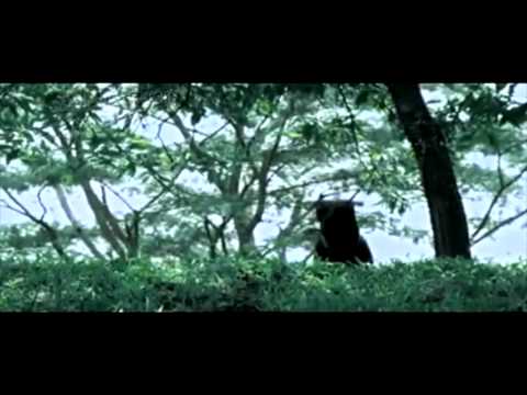 Ditanya Soal Vicky Shu, Rizal Malu-Malu Kucing