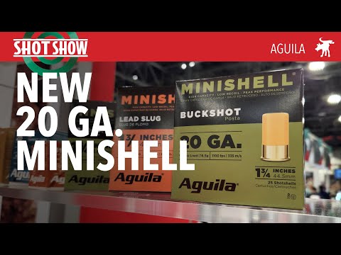 Aguila Minishell 12 Gauge 1-3/4 inch #gun #ammo #12 #shotgun #america #shorts