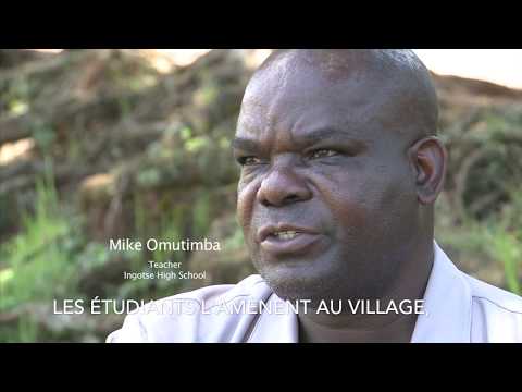 Artemisia annua - Kenya