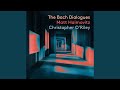 Sonata No. 2 in D Major, BWV 1028: III. Andante