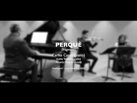 EL PERQUÈ DE TOT PLEGAT (fragment)........carles cases