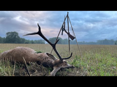 Erlegung eines alten Achters