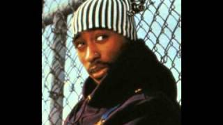 2pac ft.outlawz - If They love their kidz