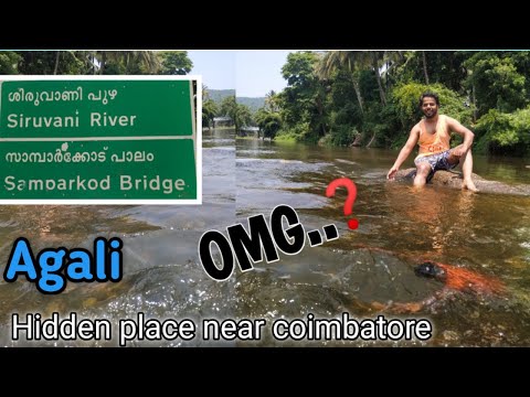 One day trip to AGALI  Budget friendly [ Hidden Place near Coimbatore, Anaikatti, Kerala ]