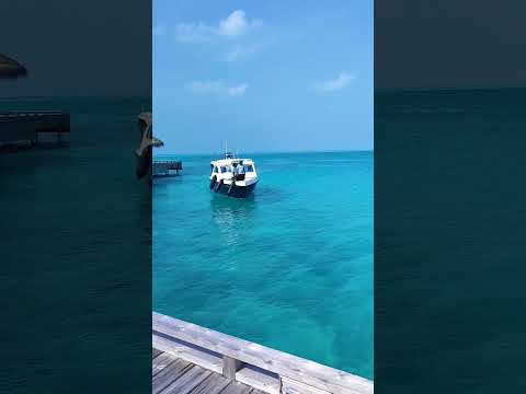 #mobilevideography #island #beach #pocox5pro5g #ocean #trending