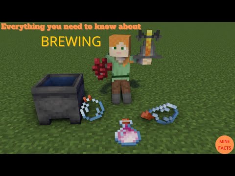Mine Facts: What is BREWING (Beginners Guide)