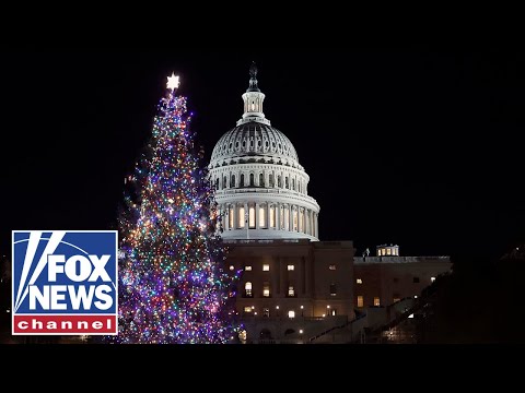 WATCH: Speaker Johnson, Nevada delegation host U.S. Capitol Christmas Tree Lighting Ceremony