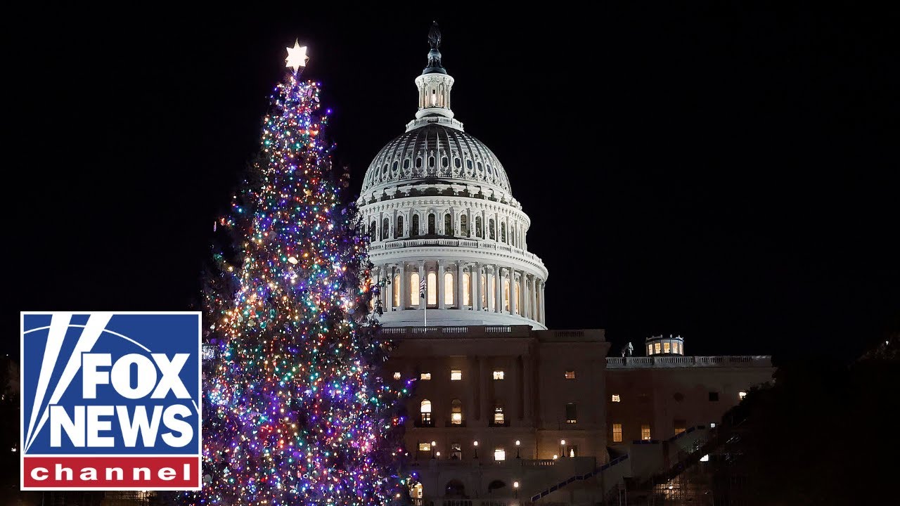 Christmas Tree Lighting Ceremony Stunner! Did You See What Happened?