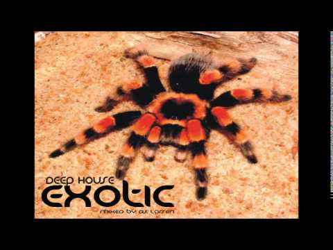 DJ. LARSEN - DEEP HOUSE EXOTIC
