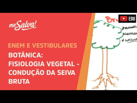 Me Salva! BOT25 - Botânica - Fisiologia vegetal: condução da seiva bruta (tensão, coesão, adesão)