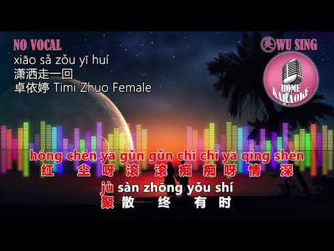 Xiao Sa Zou Yi Hui 潇洒走一回 ( Timi Zhuo 卓依婷 ) Karaoke Female