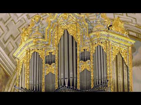 CABANILLES, organ works, Juan María Pedrero